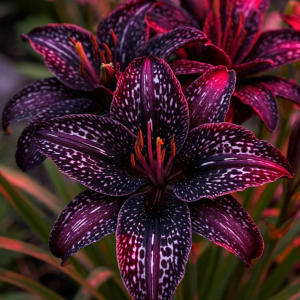 Лилейник Вояж купить по цене от 699р. в интернет-магазине «Посадика» с доставкой почтой в в Старый крыме и по всей России – [изображение №1].